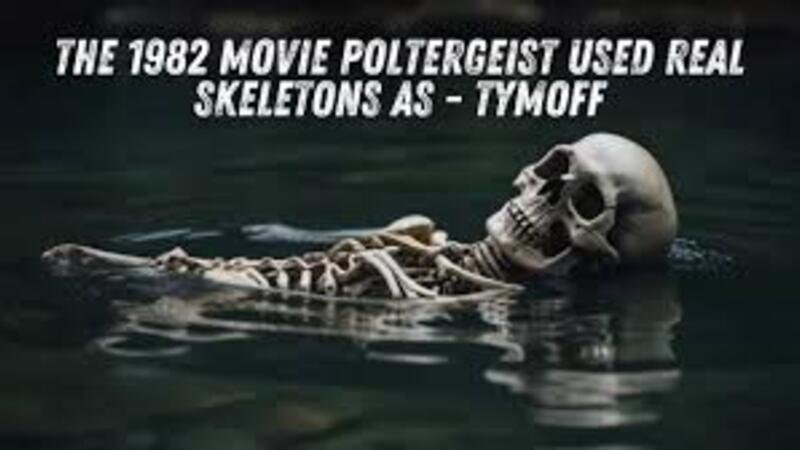 The 1982 Movie Poltergeist Used Real Skeletons: Uncovering the Shocking Truth – Tymoff